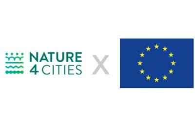 Analysis of Solutions for Nature in the City