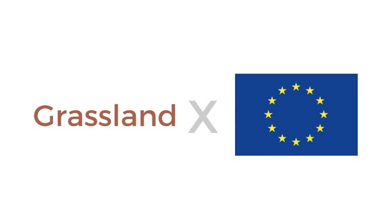 Production of Land Use layers for the Copernicus Land/Grassland service