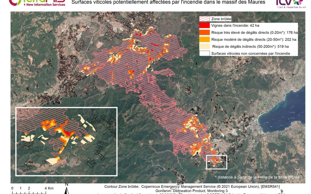 Cartographies des impacts des feux de forêts sur les vignobles du Var