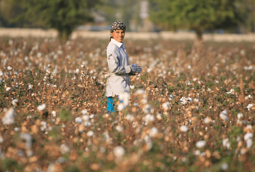 Ecosystème géospatial pour une agriculture durable en Ouzbékistan