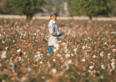 Ecosystème géospatial pour une agriculture durable en Ouzbékistan